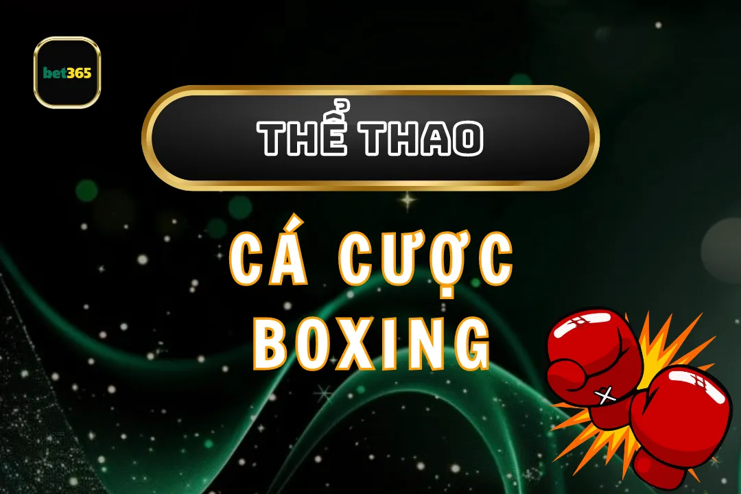 Cá Cược Boxing Tại Bet365: Cơ Hội Thắng Lớn Và Thú Vị