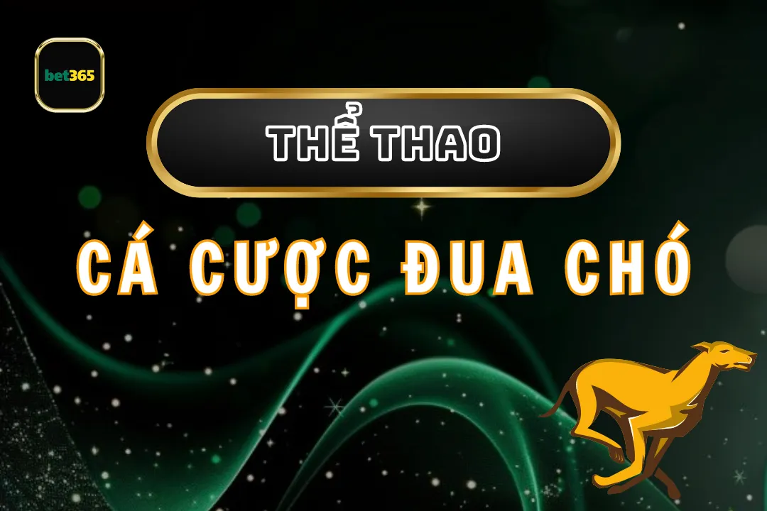 Cá Cược Đua Chó Bet365: Hướng Dẫn Và Chiến Lược Thành Công