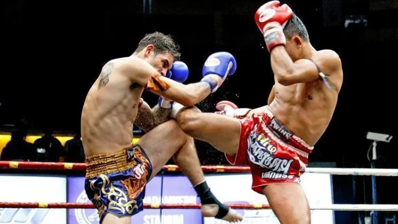 Các loại cược trong cá cược boxing