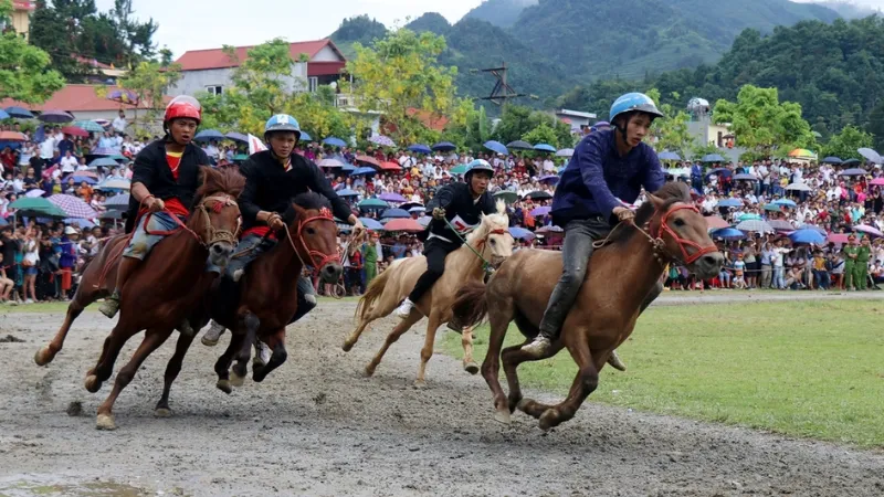 Kết nối với cộng đồng đua ngựa