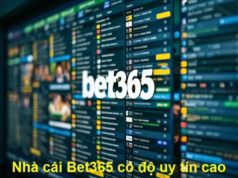 Khi nào nên liên hệ Bet365