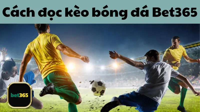 Mẹo khi đọc kèo bóng đá Bet365