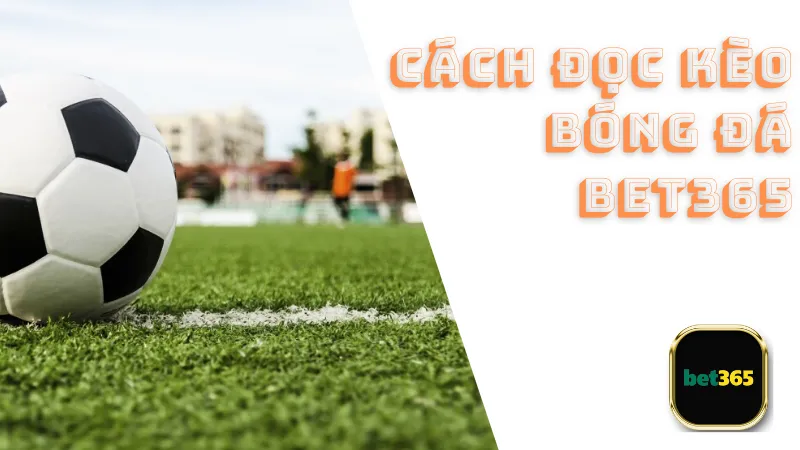 Tổng quan về cách đọc kèo bóng đá Bet365