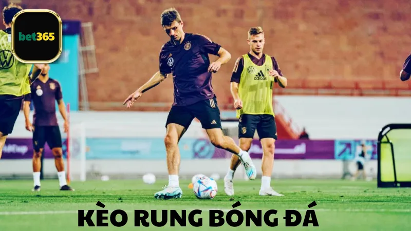 Các loại kèo rung bóng đá