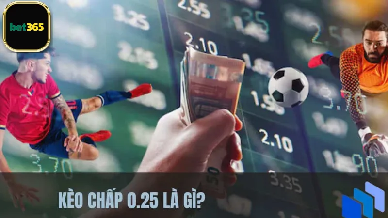 Cách chơi kèo 0.25 bet365