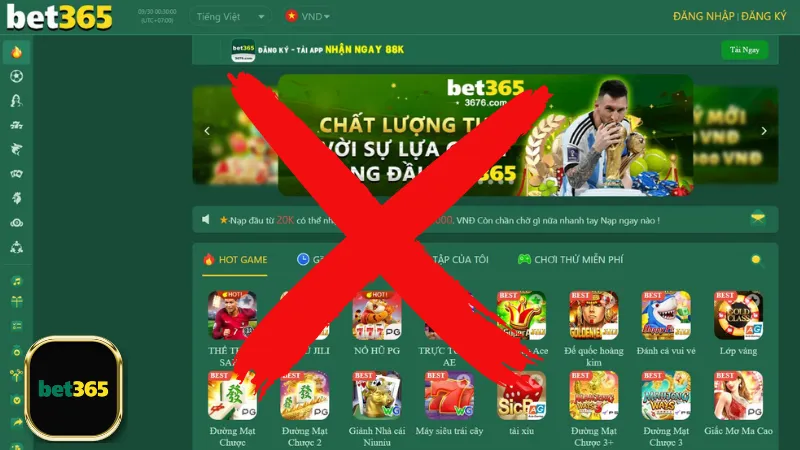 Cách khôi phục khi bị lừa đảo tại web giả mạo Bet365