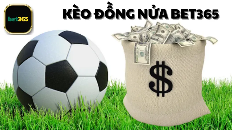 Cách tính tiền cược kèo đồng nửa Bet365