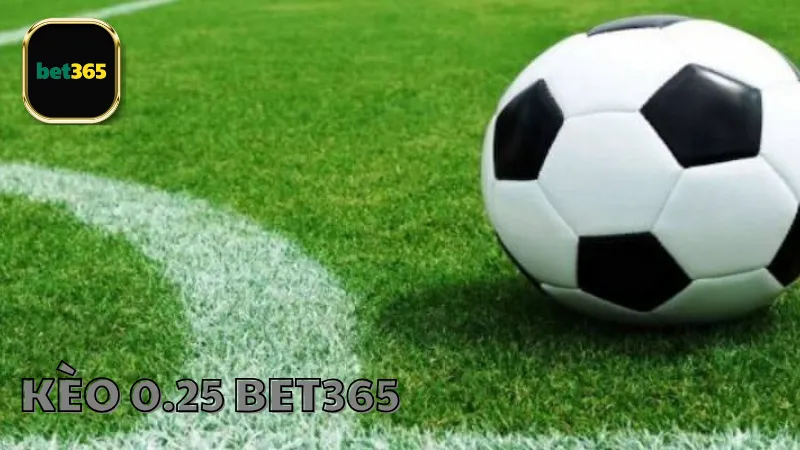 Kèo 0.25 bet365 là gì?