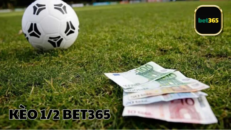 Kèo 1/2 Bet365 là gì?