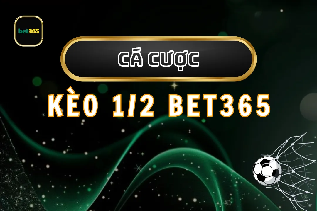 Kèo 1/2 Bet365: Cách Chơi Hiệu Quả và Những Mẹo Hữu Ích