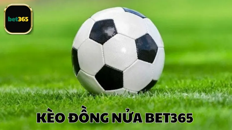 Kèo đồng nửa Bet365 là gì?