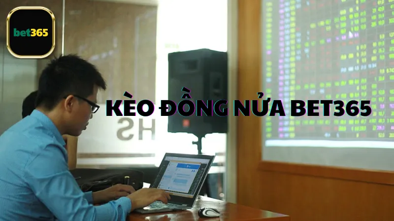 Khi nào nên chọn kèo đồng nửa Bet365