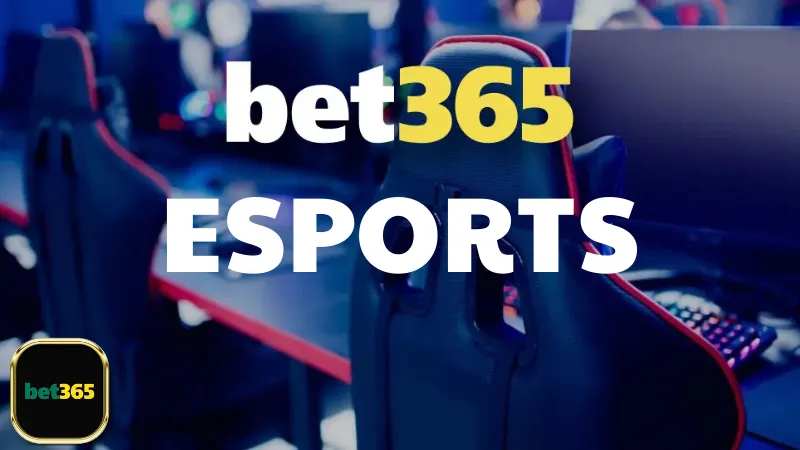 Lịch sử và phát triển của Bet365