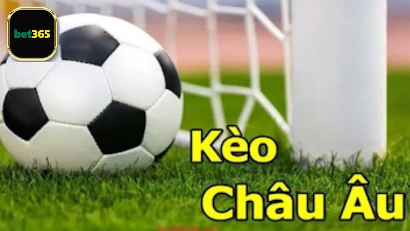 Trải nghiệm kèo Châu Âu